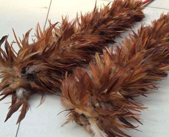 十大雞毛撣子品牌排行,茶花雞毛撣子知名度高、妙潔雞毛撣子深入人心 十大雞毛撣子品牌排行,茶花雞毛撣子知名度高、妙潔雞毛撣子深入人心