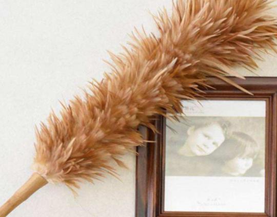 十大雞毛撣子品牌排行,茶花雞毛撣子知名度高、妙潔雞毛撣子深入人心 十大雞毛撣子品牌排行,茶花雞毛撣子知名度高、妙潔雞毛撣子深入人心