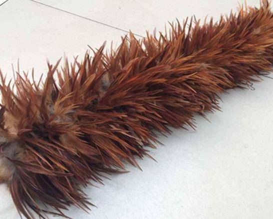 十大雞毛撣子品牌排行,茶花雞毛撣子知名度高、妙潔雞毛撣子深入人心 十大雞毛撣子品牌排行,茶花雞毛撣子知名度高、妙潔雞毛撣子深入人心