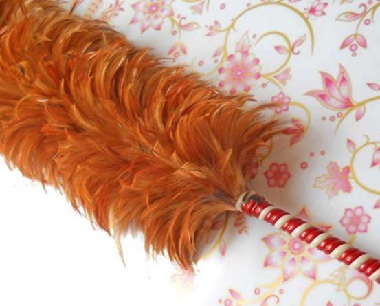 十大雞毛撣子品牌排行,茶花雞毛撣子知名度高、妙潔雞毛撣子深入人心 十大雞毛撣子品牌排行,茶花雞毛撣子知名度高、妙潔雞毛撣子深入人心