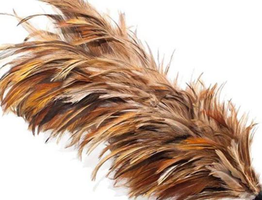 十大雞毛撣子品牌排行,茶花雞毛撣子知名度高、妙潔雞毛撣子深入人心 十大雞毛撣子品牌排行,茶花雞毛撣子知名度高、妙潔雞毛撣子深入人心