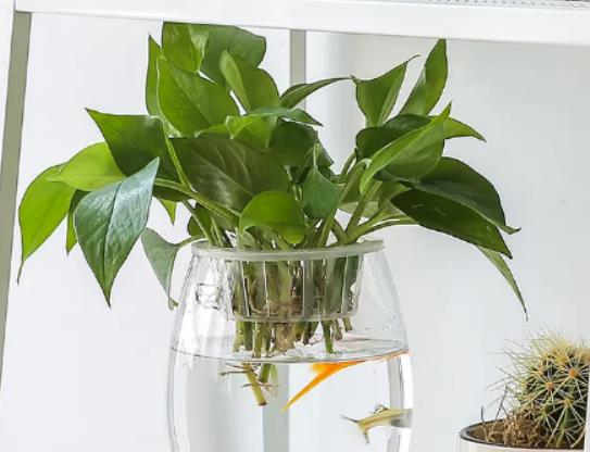 �G�}�I�B(y��ng)Һ�ǝ�����߀�Ǉ��~�棿�G�}ϲ�߀��ϲ�