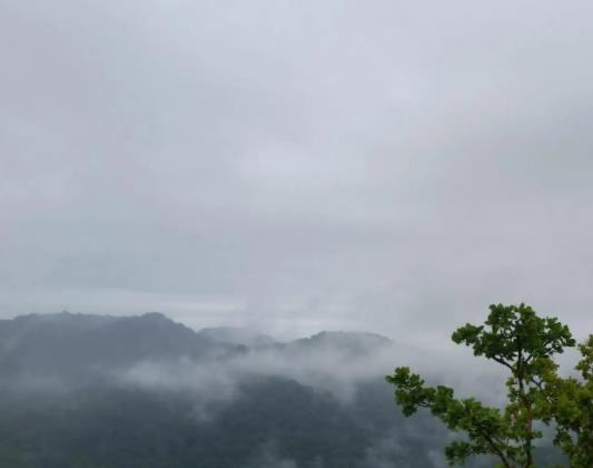 2022年6月有什么節氣?2022年6月放假安排時間表