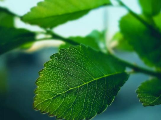 2022年6月有什么節氣?2022年6月放假安排時間表