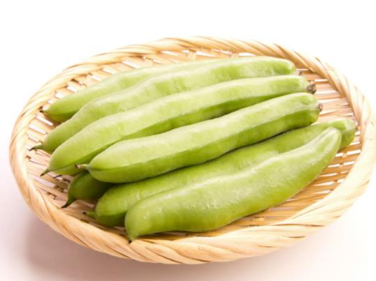 蠶豆什么時候種植好?蠶豆葉子變黃怎么補救