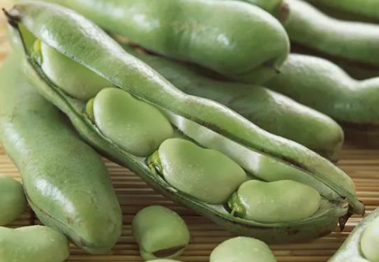 �Q�������������B(y��ng)���᣿�Q��������Ҫ�l(f��)�Ͷ��