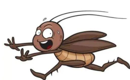 ��������������� ����������ϕ���ô��