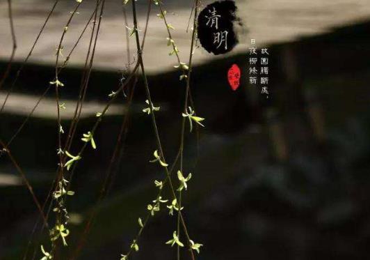 去上墳帶東西有什么忌諱的嗎?2022年清明上墳動土好不好