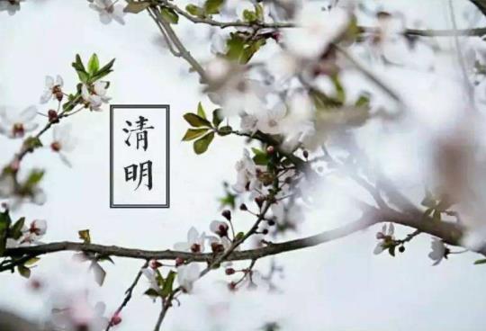 2022年清明節立碑是兒子立還是孫子立?清明節上墳貢品擺幾個