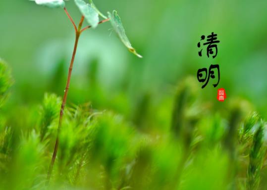 2022年清明節立碑是兒子立還是孫子立?清明節上墳貢品擺幾個