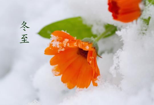 2021年冬至適合下葬嗎?2021年冬至是冬天結束還是冬天開始