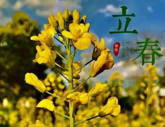 立春以后溫度上會發生什么變化?2022立春必須在家過嗎