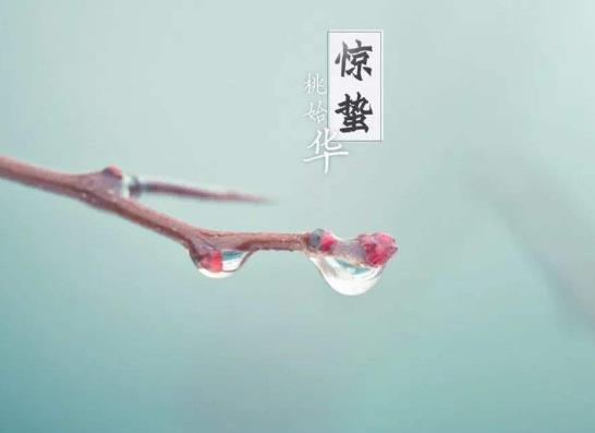 驚蟄是固定日子嗎?一天中的驚蟄是哪個時間段