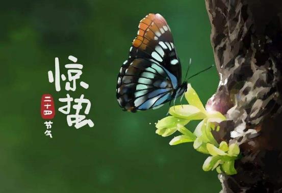 驚蟄節氣有什么特點?驚蟄節氣飲食注意事項