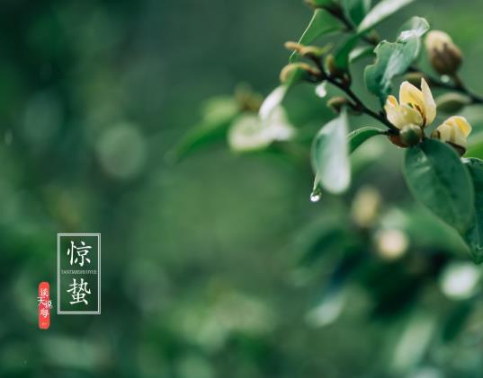 驚蟄有什么忌諱?驚蟄節氣要做哪些農事