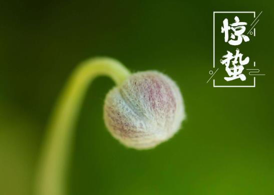 驚蟄打小人有用嗎?驚蟄打小人什么時間打最好