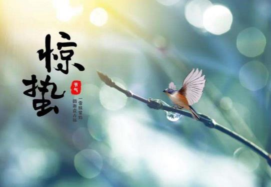 驚蟄打小人有用嗎?驚蟄打小人什么時間打最好