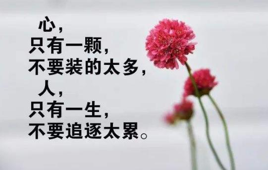 抖音上最火傷感文案大全 句句扎心讓人心痛不已的悲傷說說句子