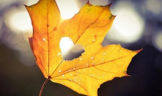 關于健康心情的話語說說 祝福身體健康的句子祝福語