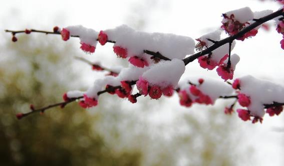 關于健康心情的話語說說 祝福身體健康的句子祝福語