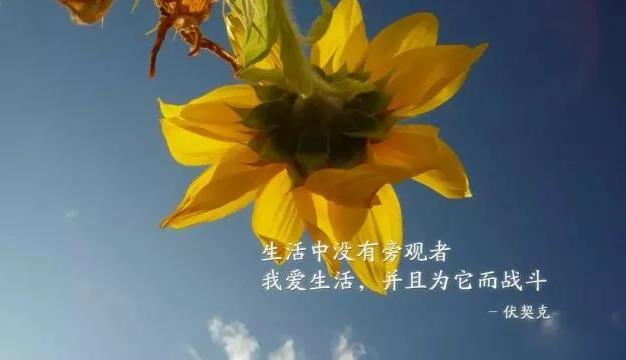 微信早安正能量有個性的說說語錄,2020最潮的勵志句子帶圖片