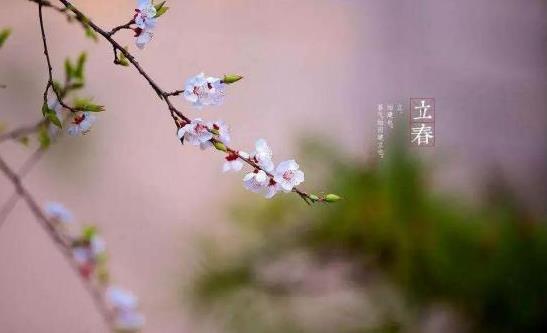 躲春人必須自己在一個房間嗎?2022年躲春如果上班怎么辦?