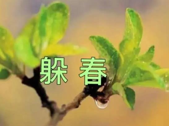 2022年躲春必須一個(gè)人躲起來(lái)嗎?2022立春時(shí)正好在上班怎么躲春?