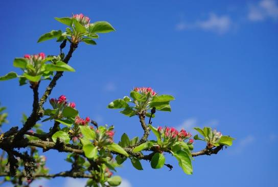 躲春人必須自己在一個房間嗎?2022年躲春如果上班怎么辦?